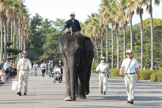 🏞️ 미야자키시 피닉스 자연동물원 (미야자키시훼닉스시젠도부츠엔) 이미지 1